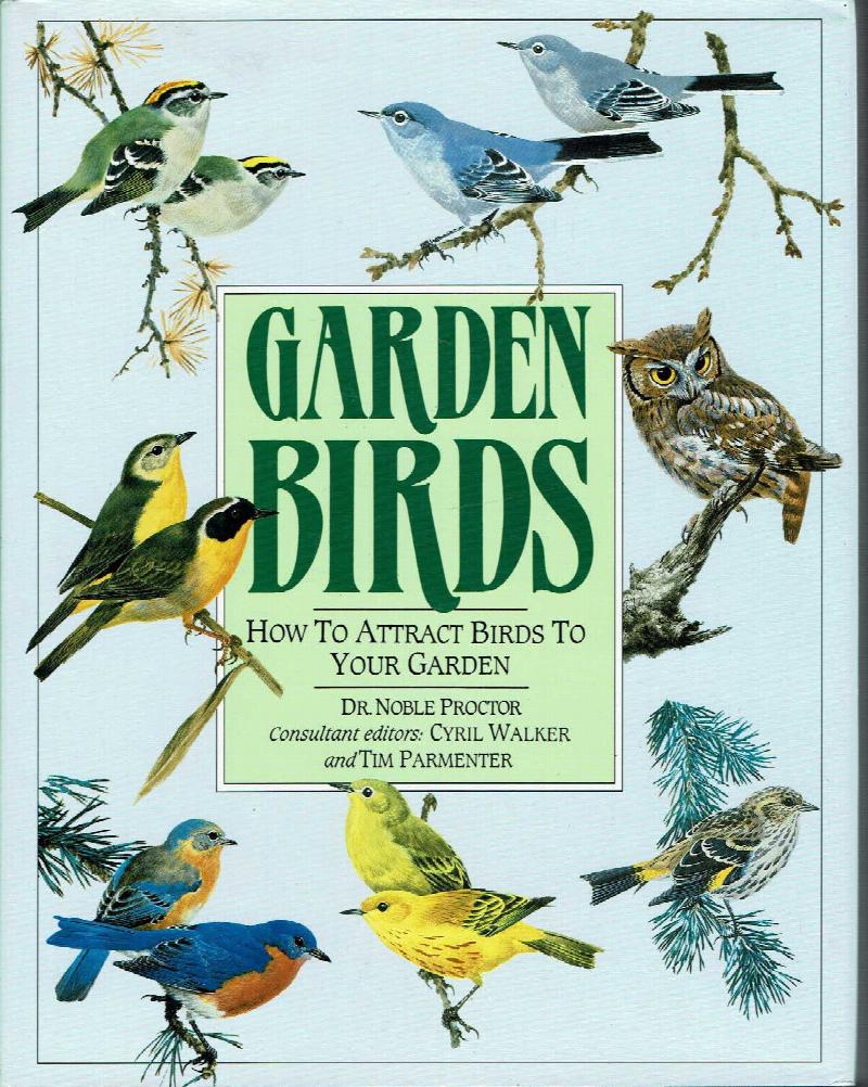 Image for Garden Birds: How to Attract Birds to Your Garden