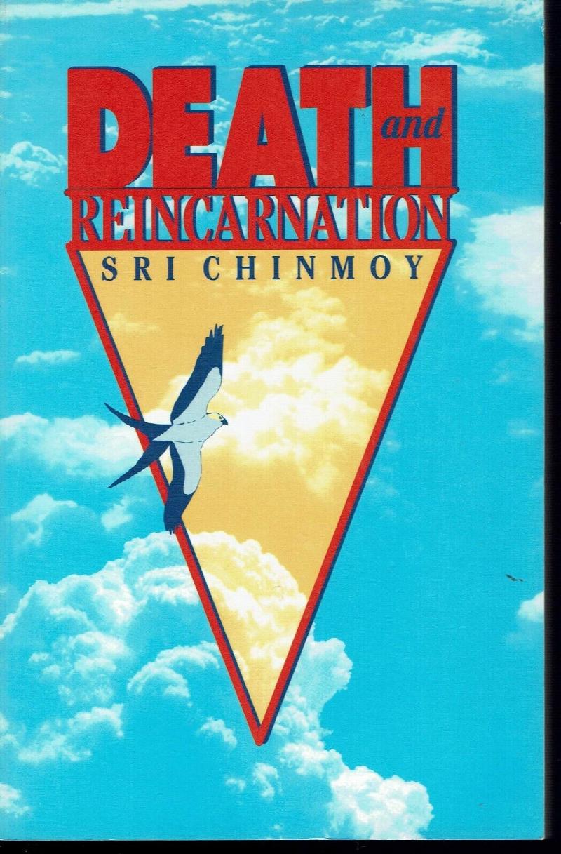 Image for Death and Reincarnation: Eternity's Voyage