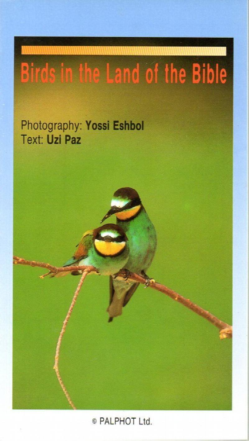 Image for Birds in the Land of the Bible