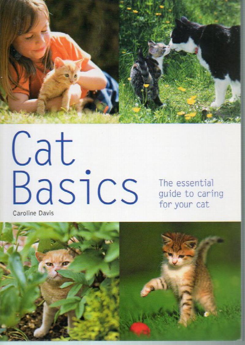 Image for Cat Basics: the Essential Guide to Caring for Your Cat
