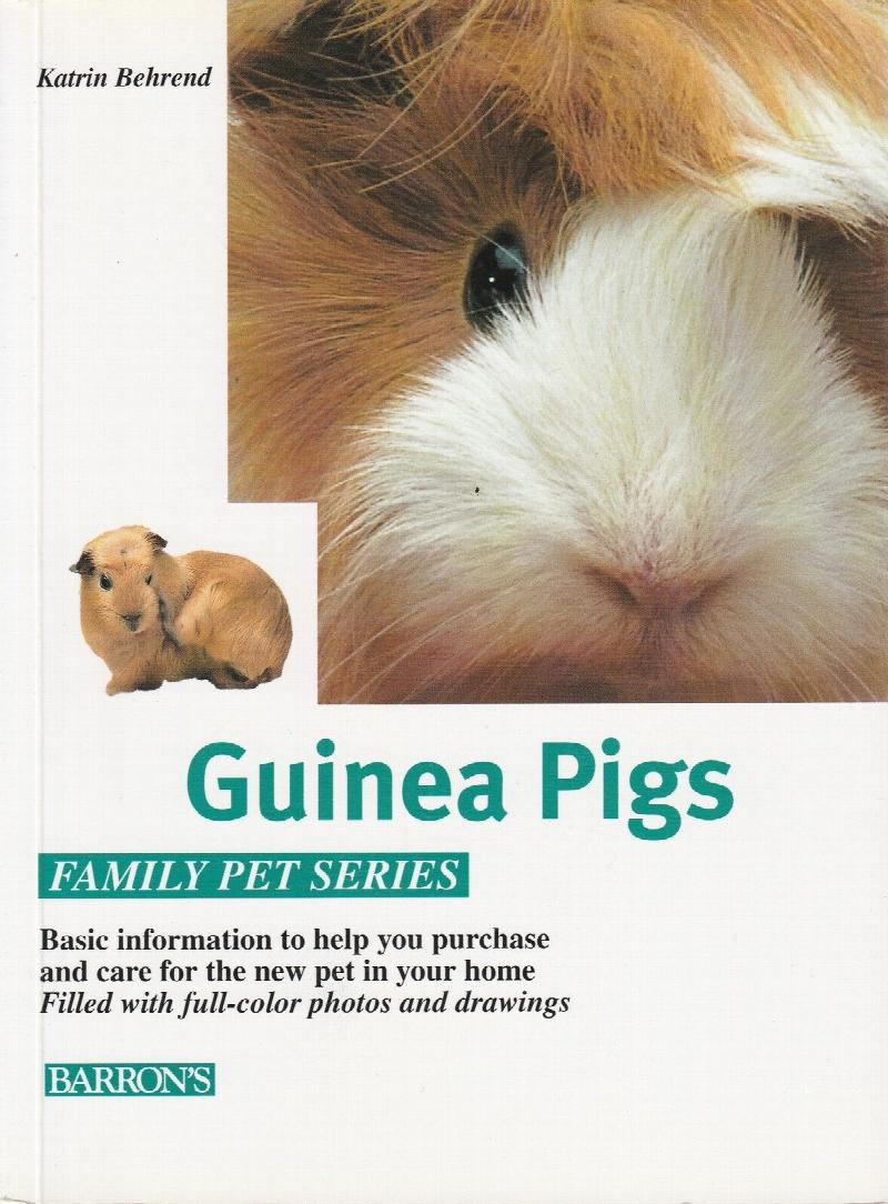 Image for Guinea Pigs:  How to care for Them, Feed The, and Understand Them
