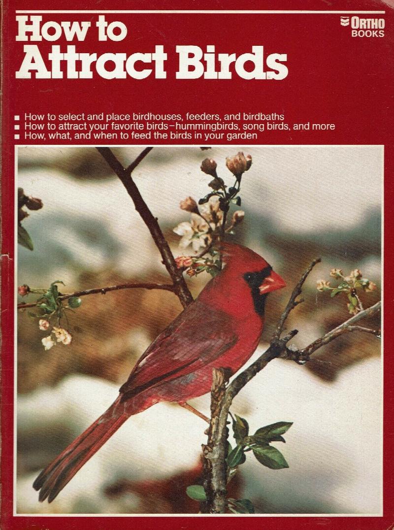 Image for How to Attract Birds