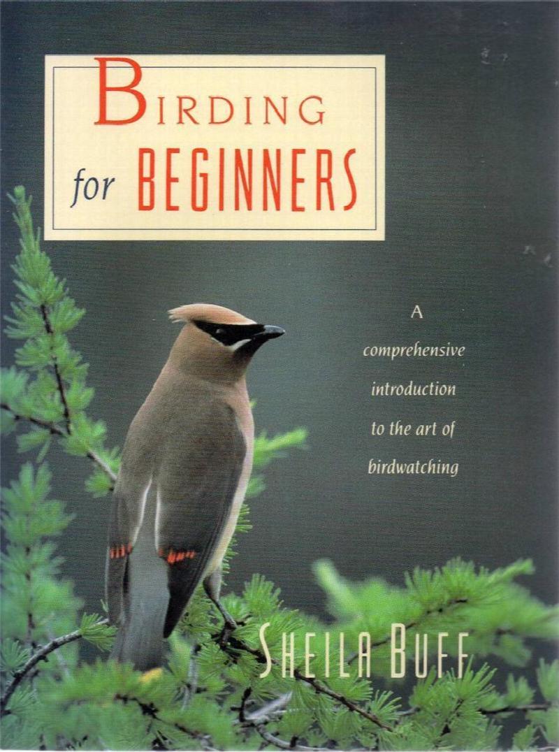 Image for Birding for Beginners