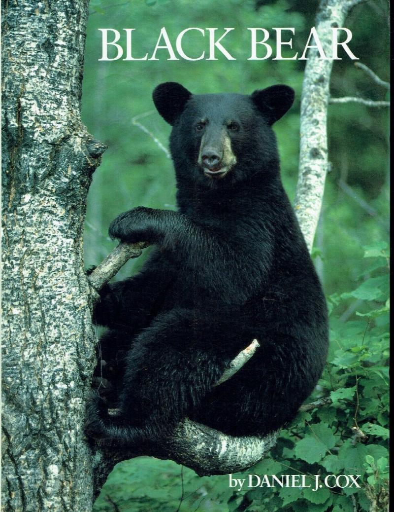 Image for Black Bear