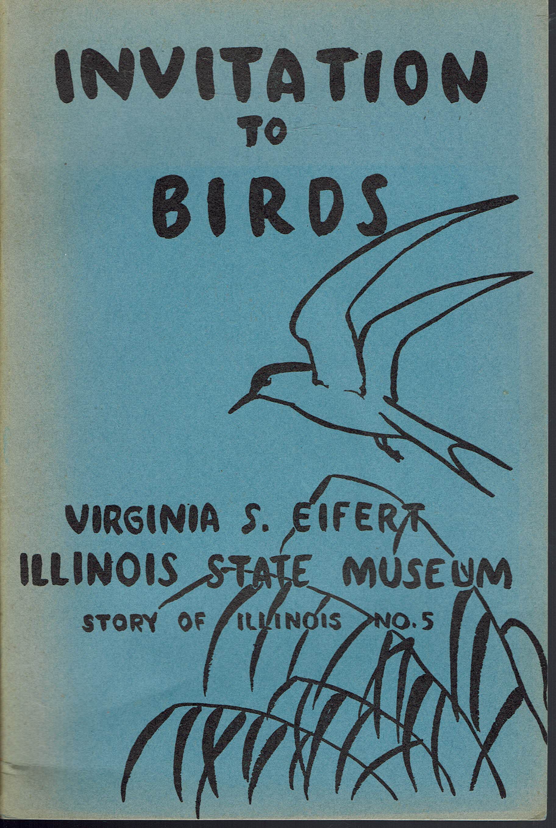 Image for Invitation to Birds:  A Few of the Common Birds of Illinois--an Invitation to Know and Enjoy Them
