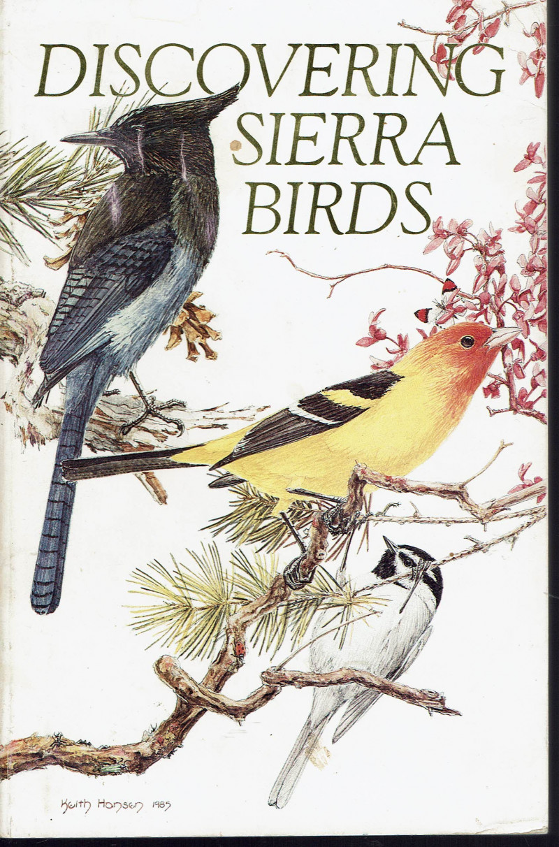 Image for Discovering Sierra Birds, Western Slope