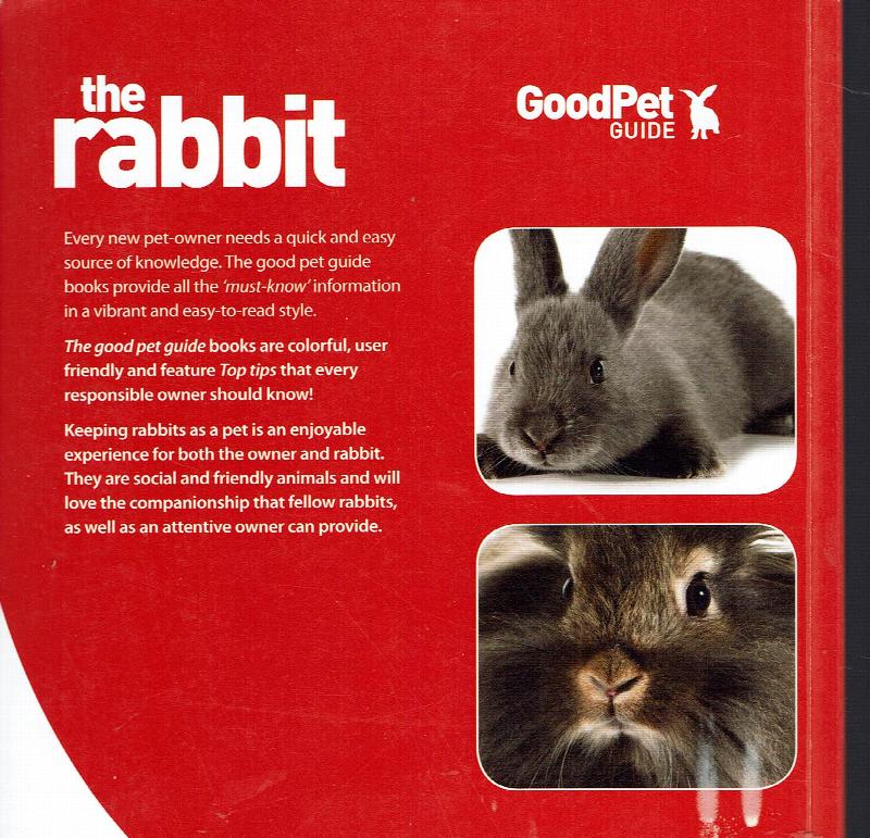 The Rabbit: Good Pet Guide