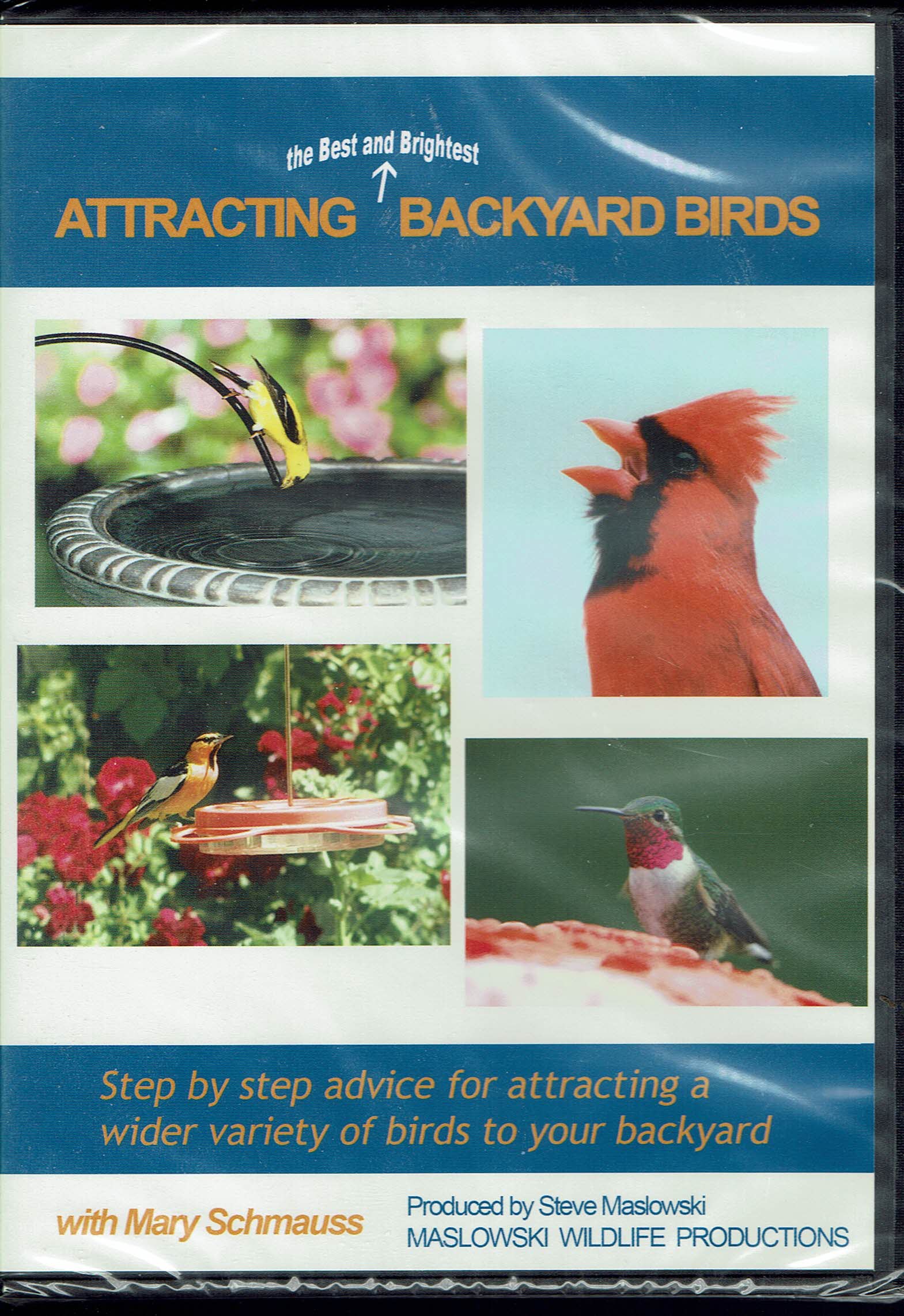 Image for Attracting the Best and Brightest Backyard Birds DVD