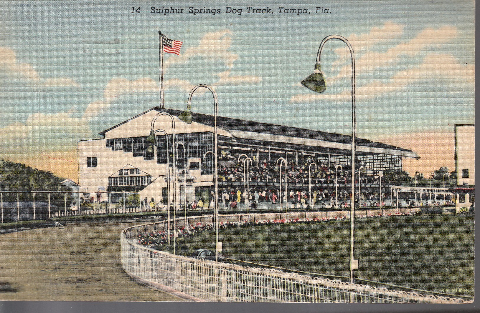 Sulphur Springs Dog Track Tampa FL 1950 Linen 1 Washington