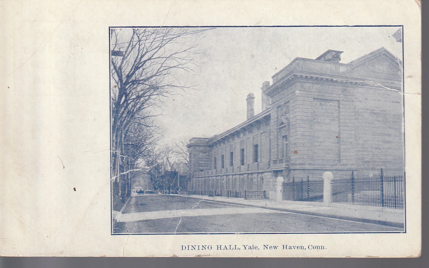 Yale, New Haven CT, Dining Hall circa 1905 Real Photo Postcard