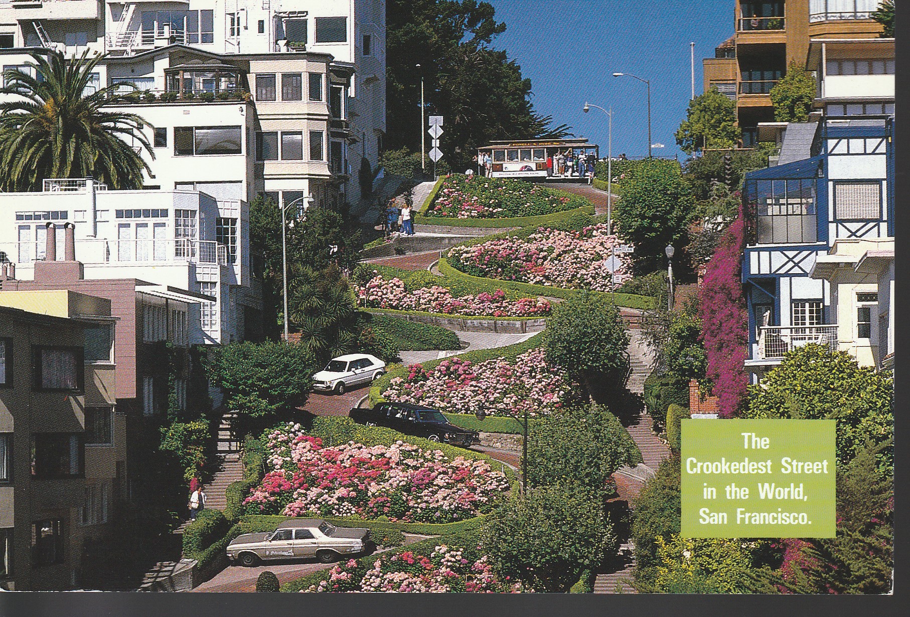 Lombard St San Francisco Crookedest Street 1988 Photo Ken Glaser Jr. Large Photo Postcard