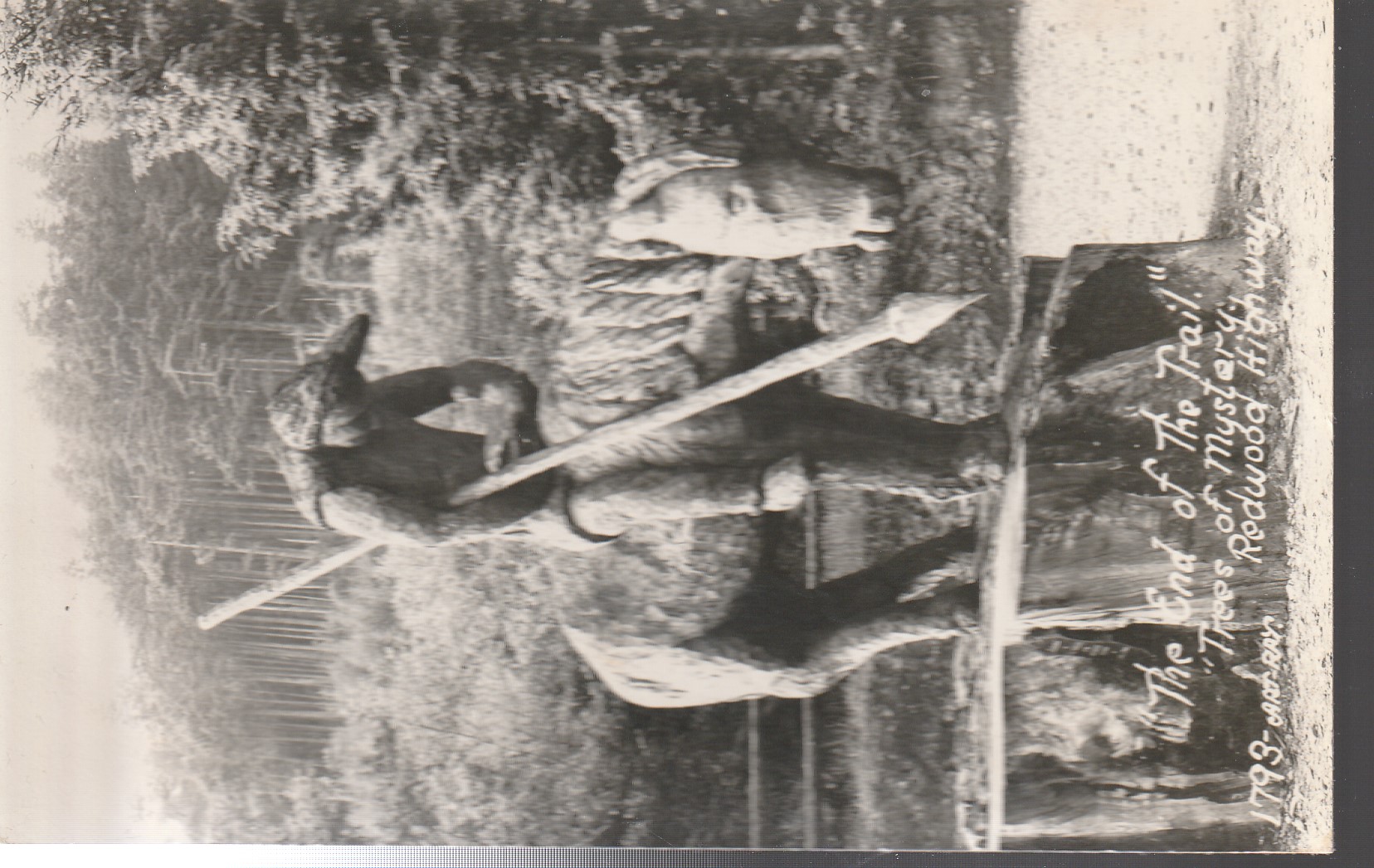 End of the Trail Carved from Giant Redwood Mystery Park Redwood Highway CA 1907