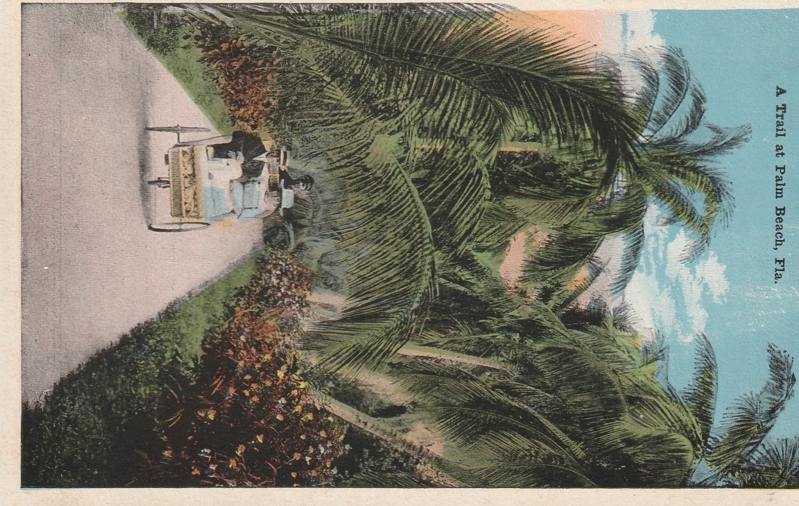 Palm Beach FL Wheel & Bicycle Trail circa 1915 Postcard