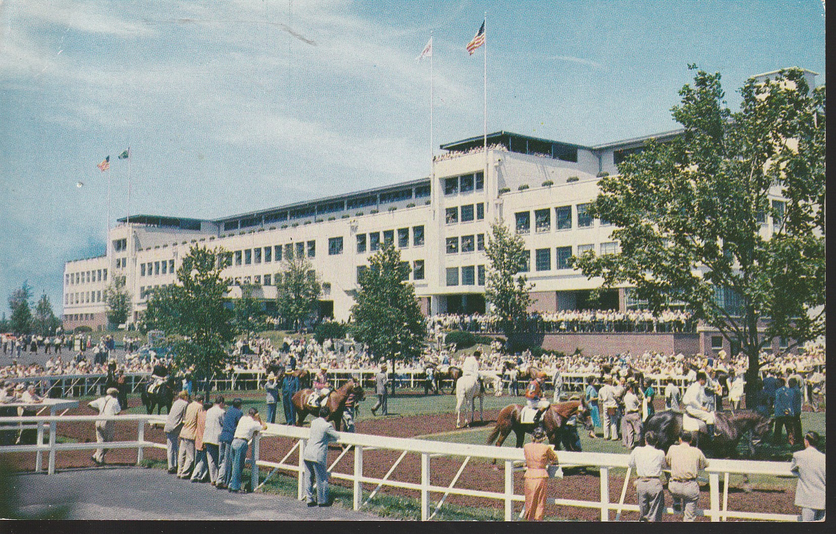 Monmouth Park Oceanport NJ Racetrack Paddock circa 1955 Postcard