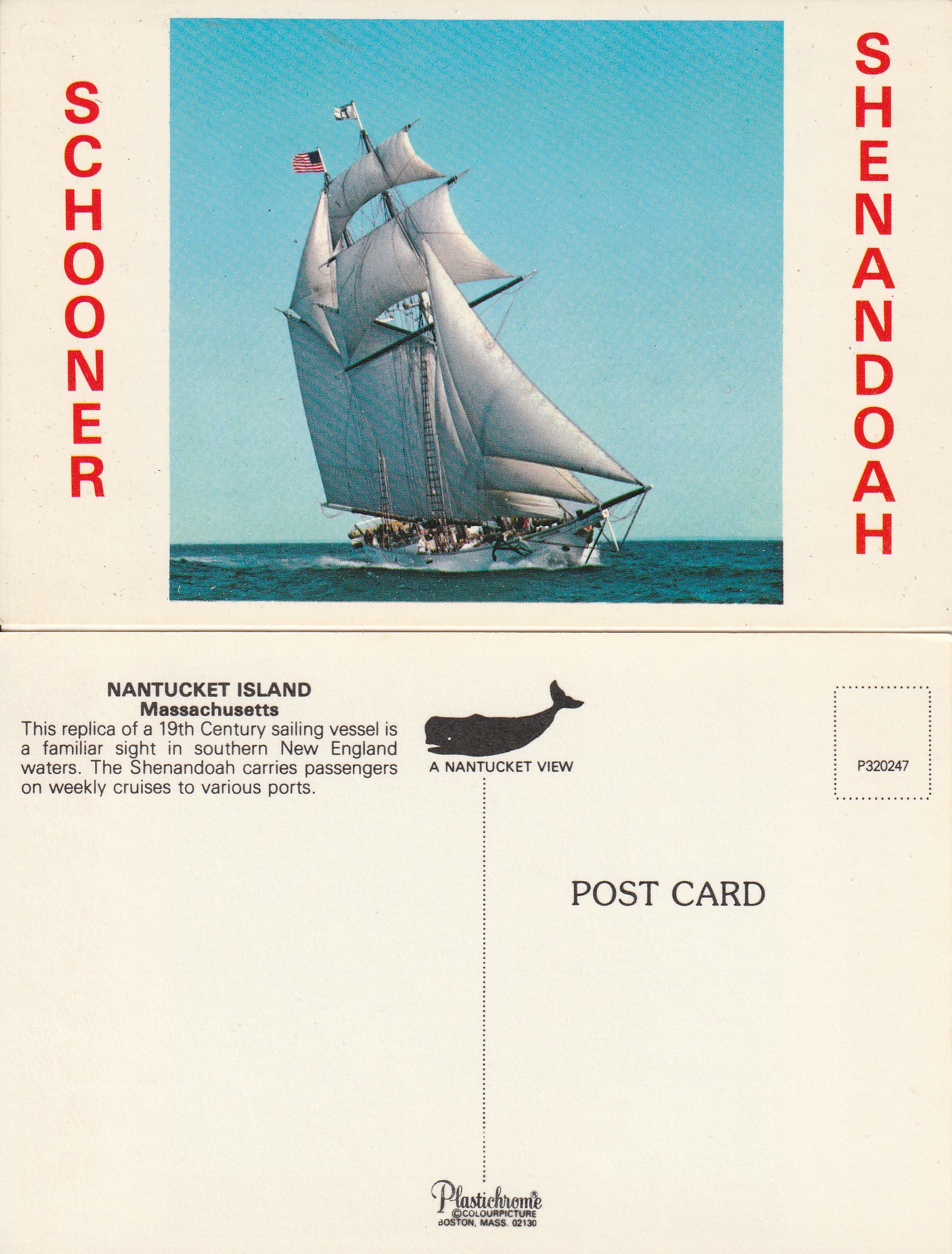 Schooner Shenandoah circa 1970 Nantucket Island MA Photo Postcard