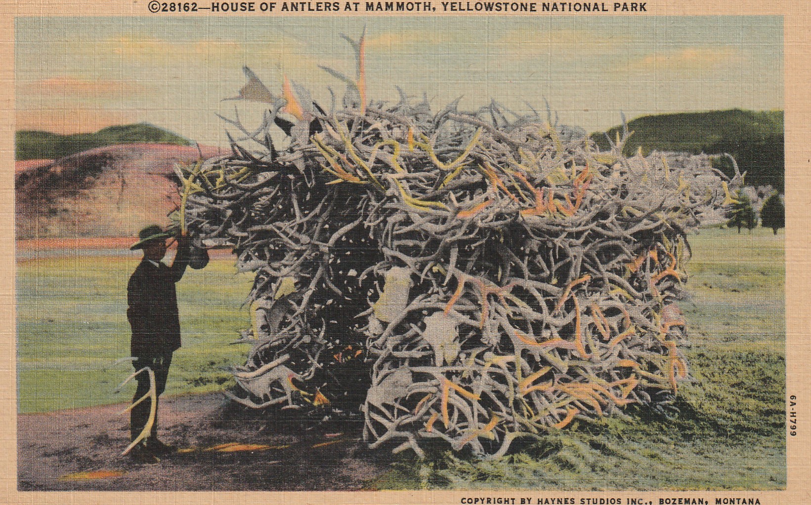 House of Antlers at Mammoth, Yellowstone Park circa 1940 Vintage Linen Postcard Rare