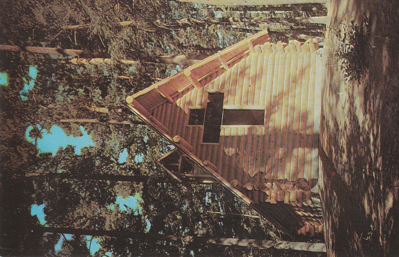 Chapel in the Pines, Donald Johnston Kiwanis Founder, Hartwick Pines, 1956 Grayling MI, Postcard